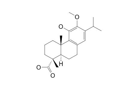 POMIFERIN-C;11-HYDROXY-12-METHOXY-ABIETA-8,11,13-TRIEN-18-OIC-ACID