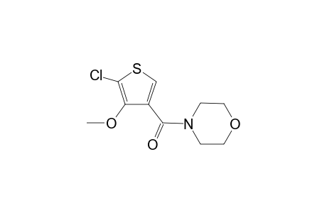 Methanone, (5-chloro-4-methoxy-3-thienyl)(4-morpholyl)-