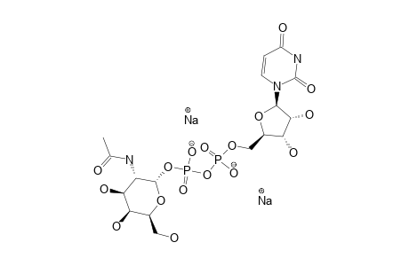 URIDINE-5'-DIPHOSPHONO-N-ACETYLGALACTOSAMINE;UDP-GALNAC