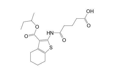 5-{[3-(sec-butoxycarbonyl)-4,5,6,7-tetrahydro-1-benzothien-2-yl]amino}-5-oxopentanoic acid