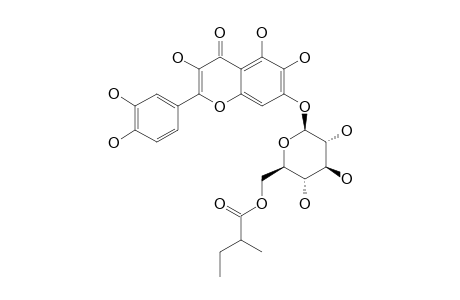 QUERCETAGETIN-7-0-(6''-O-2-METHYLBUTYRYL)-BETA-D-GLUCOPYRANOSIDE
