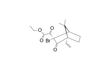 ETHYL-(1S,2S,4S)-EXO-2-BROMO-4-ETHENYL-7,7-DIMETHYL-3-OXO-BICYCLO-[2.2.1]-HEPT-ENDO-2-YL-OXO-ACETATE