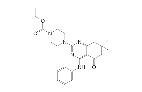 1-piperazinecarboxylic acid, 4-[5,6,7,8-tetrahydro-7,7-dimethyl-5-oxo-4-(phenylamino)-2-quinazolinyl]-, ethyl ester