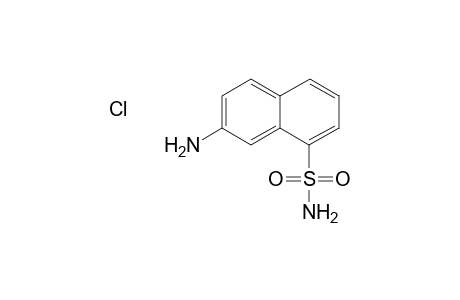 7-Aminonaphthalene-1-sulfonamide hydrochloride