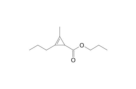 Propyl 1-methyl-2-propyl-1-cyclopropene-3-carboxylate