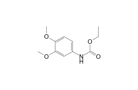Ethyl N-(3,4-dimethoxyphenyl)carbamate
