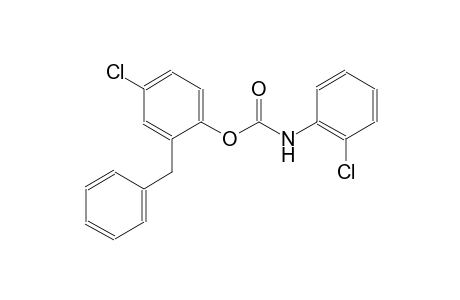 2-benzyl-4-chlorophenyl 2-chlorophenylcarbamate