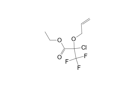 2-Allyloxy-2-chloro-3,3,3-trifluoro-propionic acid ethyl ester