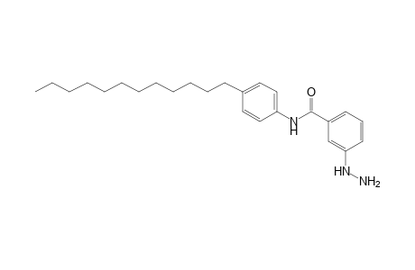 Benzamide, N-(4-dodecylphenyl)-3-hydrazinyl-