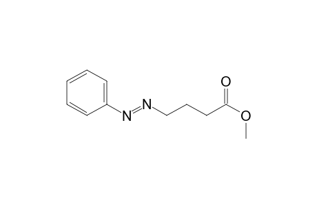 Butanoic acid, 4-(phenylazo)-, methyl ester