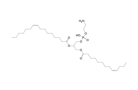 PE 13:1_16:1