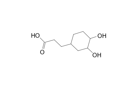 3-(3,4-Dihydroxycyclohexyl)propanoic acid