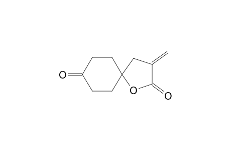 3-Methylene-1-oxaspiro[4.5]decane-2,8-dione