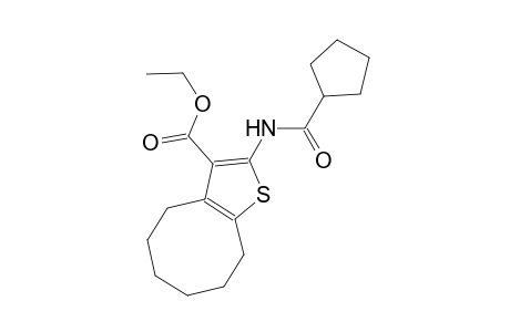 ethyl 2-[(cyclopentylcarbonyl)amino]-4,5,6,7,8,9-hexahydrocycloocta[b]thiophene-3-carboxylate