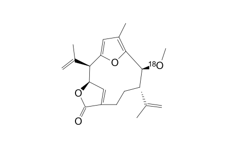 2-[18O]-Methylkallolide A