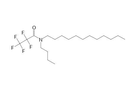 Pentafluoropropionamide, N-butyl-N-dodecyl-