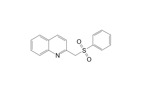 Quinoline, 2-[(phenylsulfonyl)methyl]-