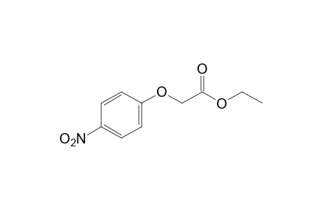 (p-nitrophenoxy)acetic acid, ethyl ester