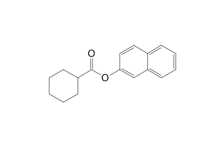 Cyclohexanecarboxylic acid, 2-naphthyl ester