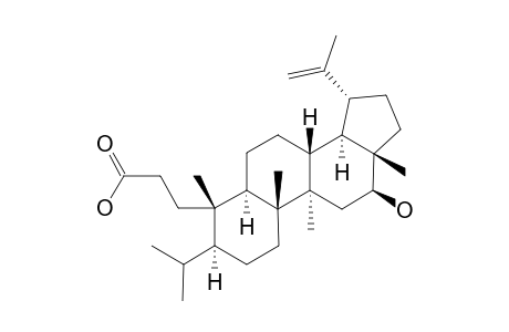 16-BETA-3,4-SECOLUP-20-(29)-EN-3-OIC_ACID