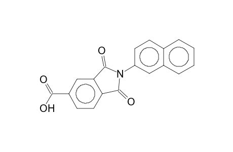1,3-Diketo-2-(2-naphthyl)isoindoline-5-carboxylic acid