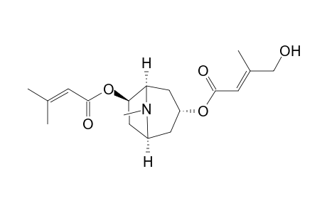 3.alpha.-(E)-4-Hydroxysenecioyloxy-6.beta.-senecioyloxytropane