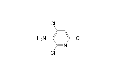(2,4,6-trichloro-3-pyridyl)amine