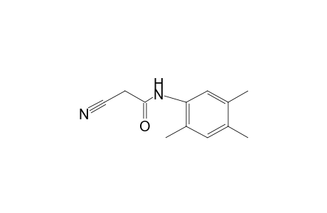 2-CYANO-N-(2,4,5-TRIMETHYLPHENYL)ACETAMIDE