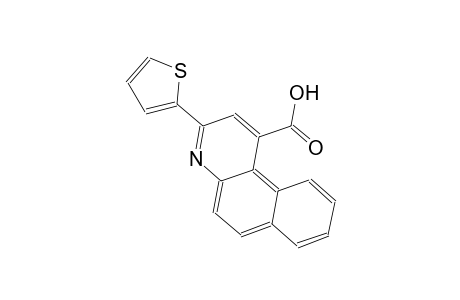 3-(2-Thienyl)benzo[f]quinoline-1-carboxylic acid