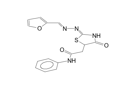 2-(2-furylmethylenehydrazono)-5-(phenylcarbamoylmethyl)-1,3-thiazolidin-4-one