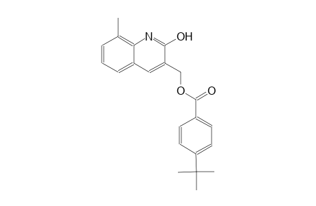 (2-hydroxy-8-methyl-3-quinolinyl)methyl 4-tert-butylbenzoate