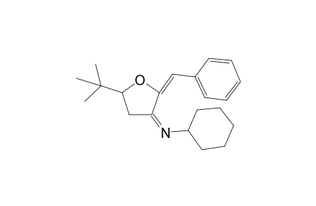 (Z)-2-((E)-Benzylidene)-5-(tert-butyl)-N-cyclohexyldihydrofuran-3(2H)-imine