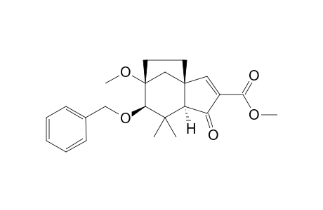 (1R,5R,7R,8R) Methyl 7-Benzyloxy-6,6-dimthyl-8-methoxy-4-oxotricyclo[6.2.1.0(1,5)]undec-2-en-3-carboxylate