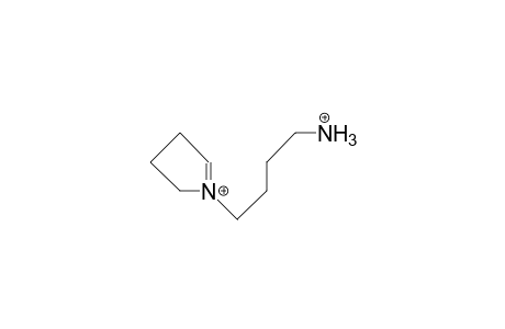 N-(4-Amino-butyl)-1,2-didehydro-pyrrolidinium dication