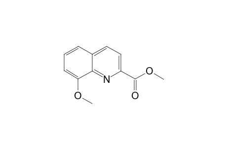 Methyl 8-methoxyquinoline-2-carboxylate