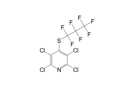 4-[(Heptafluoropropyl)thio]-2,3,5,6-tetrachloropyridine