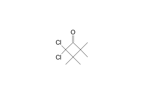 2,2-bis(chloranyl)-3,3,4,4-tetramethyl-cyclobutan-1-one