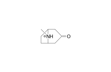 Tropinone-3 cation