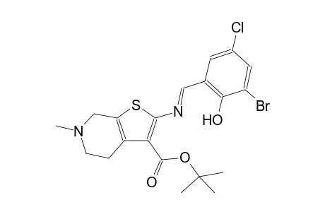 tert-butyl 2-{[(E)-(3-bromo-5-chloro-2-hydroxyphenyl)methylidene]amino}-6-methyl-4,5,6,7-tetrahydrothieno[2,3-c]pyridine-3-carboxylate