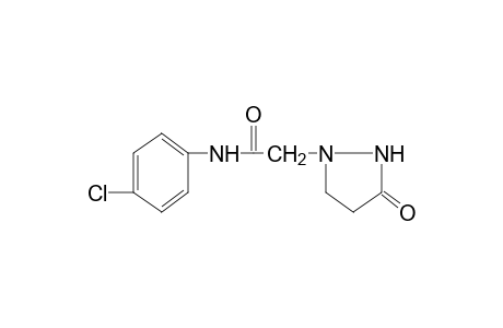 4'-CHLORO-2-(3-OXO-1-PYRAZOLIDINYL)ACETANILIDE