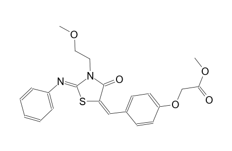 methyl (4-{(E)-[(2Z)-3-(2-methoxyethyl)-4-oxo-2-(phenylimino)-1,3-thiazolidin-5-ylidene]methyl}phenoxy)acetate