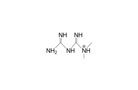 1,1-Dimethyl-biguanidine cation