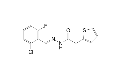 2-thiopheneacetic acid, 2-[(E)-(2-chloro-6-fluorophenyl)methylidene]hydrazide