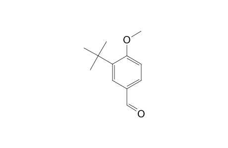 Benzaldehyde, 3-(1,1-dimethylethyl)-4-methoxy-
