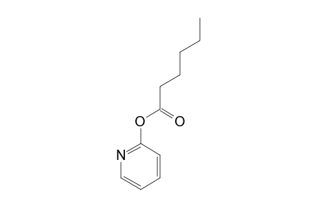 HEXANOIC-ACID-2-PYRIDINYL-ESTER