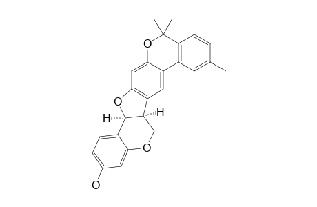 TETRAPTEROL_B