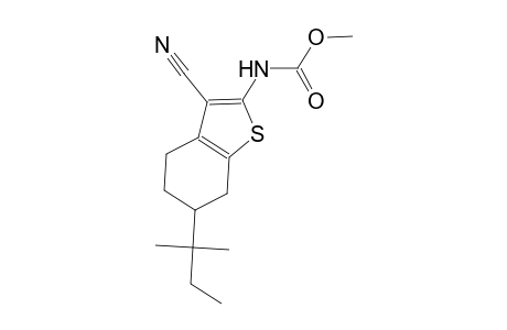 methyl 3-cyano-6-tert-pentyl-4,5,6,7-tetrahydro-1-benzothien-2-ylcarbamate