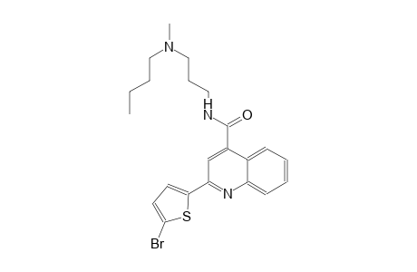 2-(5-bromo-2-thienyl)-N-{3-[butyl(methyl)amino]propyl}-4-quinolinecarboxamide