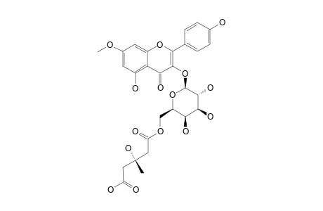 OXYTROFLAVOSIDE_D;RHAMNOCITRIN_3-O-[(S)-3-HYDROXY-3-METHYLGLUTARYL-(1->6)]-BETA-D-GALACTOPYRANOSIDE