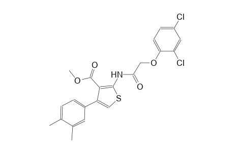methyl 2-{[(2,4-dichlorophenoxy)acetyl]amino}-4-(3,4-dimethylphenyl)-3-thiophenecarboxylate
